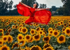 Sunflower Ballerina