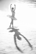 The Ballerina Chronicles