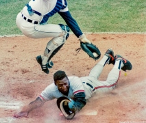 Tiger Home Plate slide