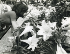 Rockefeller Center and Lavern and Shirley's Cindy Williams