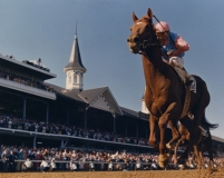 Kenucky Derby