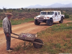 Hummers thru the Baja