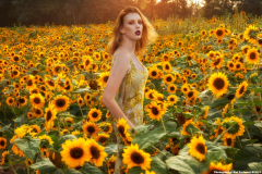 Sunflower Girl