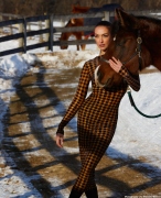Barn Storming