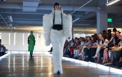 Center for Creative Studies Student Show
