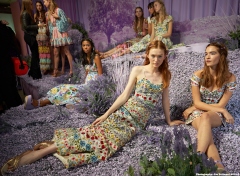 Alice + Olivia