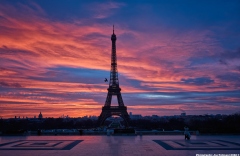 A Paris Christmas