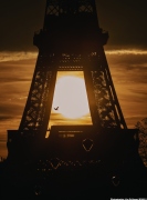 A Paris Christmas