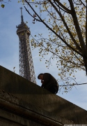 Eiffel Tower