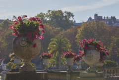 Le Jardin du Luxembourg