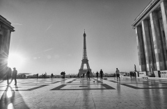 Eiffel Tower from the Trocadéro