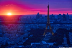 \"La Vie en Rose\"