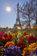 April in Paris