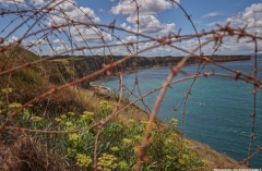 Pointe du Hoc