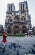 Feeding birds at Notre Dame