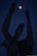 Total Lunar Eclipse