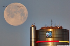 Worm Moon