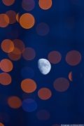 Moon among Lights