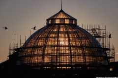 Belle Isle Conservatory