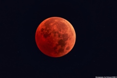 "Blood Moon"