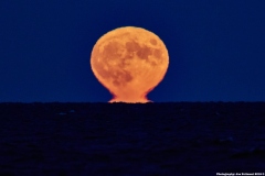 Sturgeon Moon