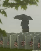 Memorial Day at the National Cemetery