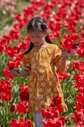 Picking fallen Petals for a Bouquet