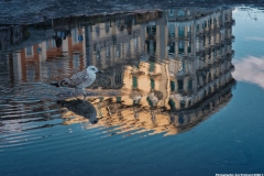 Naples