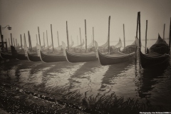Low tide and fog as Venice wakes up.