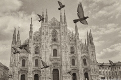 Foggy Duomo