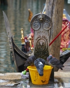 Venice Birdbath