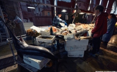Carnevale di Venezia